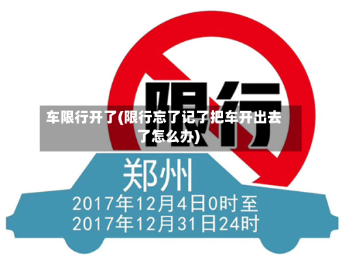 车限行开了(限行忘了记了把车开出去了怎么办)