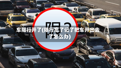 车限行开了(限行忘了记了把车开出去了怎么办)-第2张图片