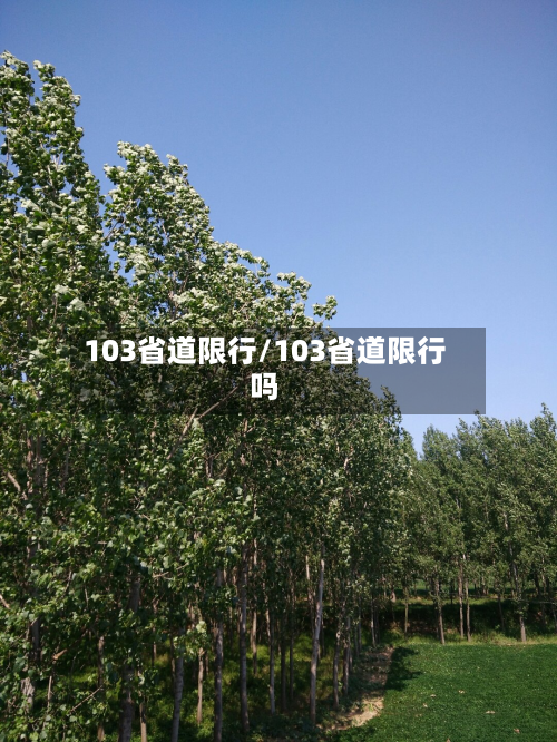 103省道限行/103省道限行吗-第2张图片