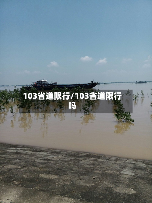 103省道限行/103省道限行吗