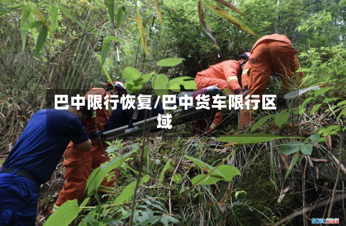 巴中限行恢复/巴中货车限行区域