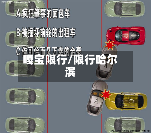 嘎宝限行/限行哈尔滨