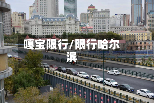 嘎宝限行/限行哈尔滨-第3张图片