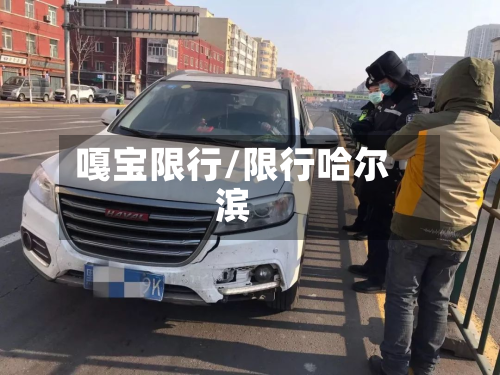 嘎宝限行/限行哈尔滨-第2张图片
