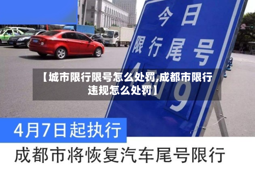【城市限行限号怎么处罚,成都市限行违规怎么处罚】