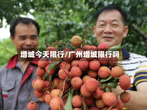 增城今天限行/广州增城限行吗