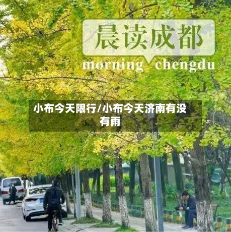 小布今天限行/小布今天济南有没有雨-第2张图片
