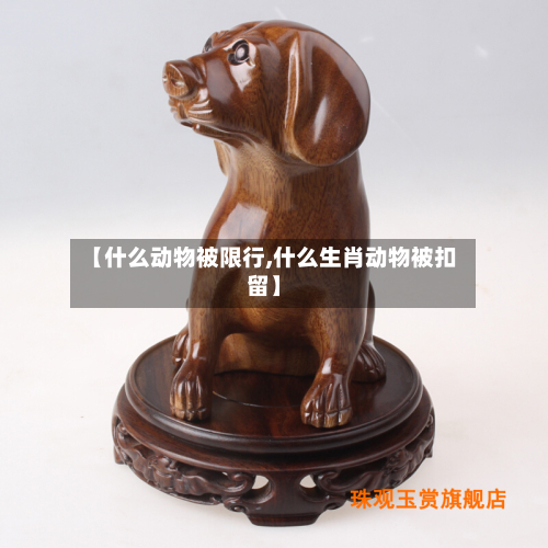 【什么动物被限行,什么生肖动物被扣留】-第2张图片