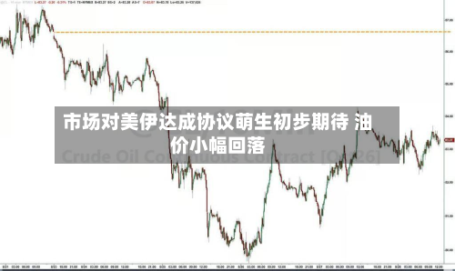 市场对美伊达成协议萌生初步期待 油价小幅回落-第2张图片