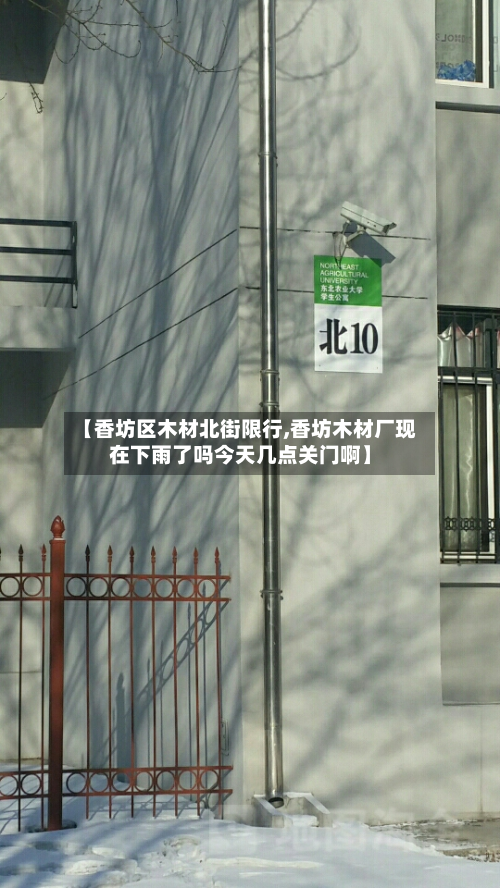 【香坊区木材北街限行,香坊木材厂现在下雨了吗今天几点关门啊】-第2张图片