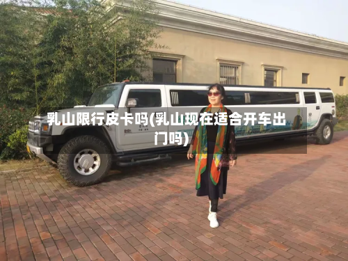乳山限行皮卡吗(乳山现在适合开车出门吗)-第3张图片