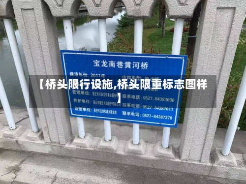【桥头限行设施,桥头限重标志图样】