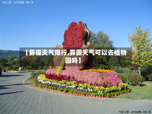 【雾霾天气限行,雾霾天气可以去植物园吗】-第2张图片