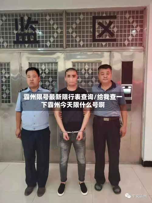 霸州限号最新限行表查询/给我查一下霸州今天限什么号啊