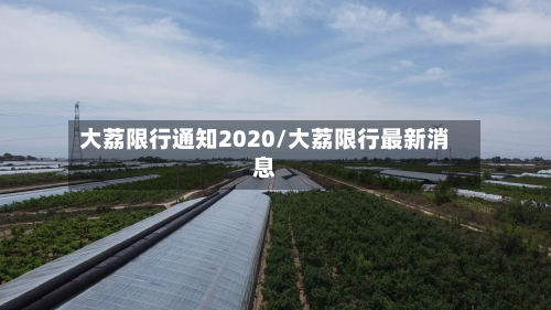 大荔限行通知2020/大荔限行最新消息-第2张图片
