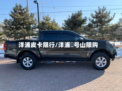 洋浦皮卡限行/洋浦頭号山限购-第2张图片