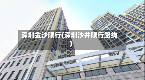 深圳金沙限行(深圳沙井限行路线)