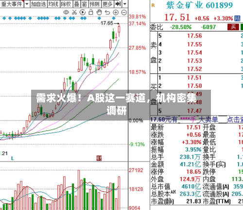 需求火爆！A股这一赛道，机构密集调研