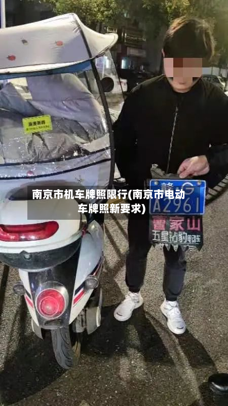 南京市机车牌照限行(南京市电动车牌照新要求)-第3张图片