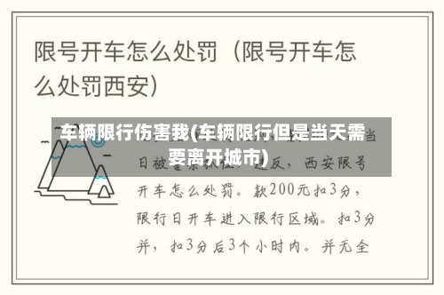 车辆限行伤害我(车辆限行但是当天需要离开城市)-第2张图片