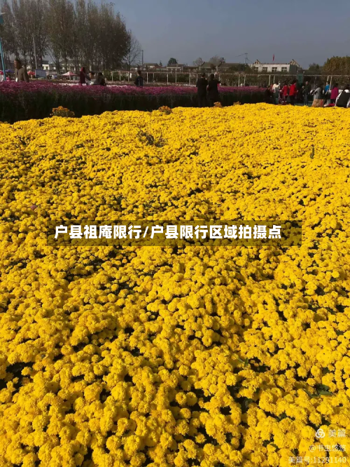 户县祖庵限行/户县限行区域拍摄点