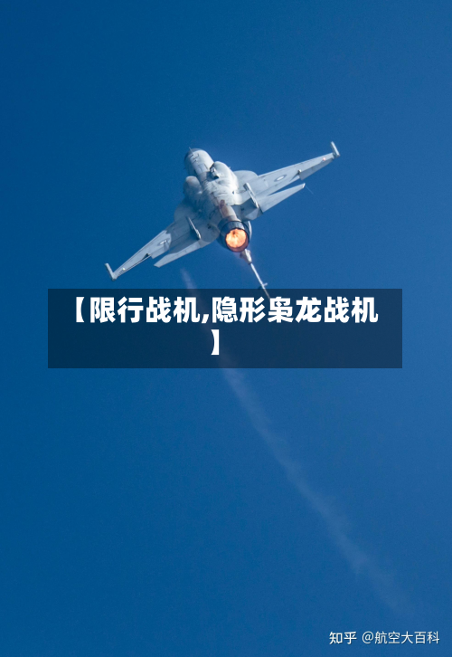 【限行战机,隐形枭龙战机】-第3张图片