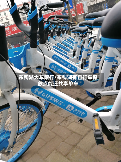 东钱湖大车限行/东钱湖有自行车停放点能还共享单车