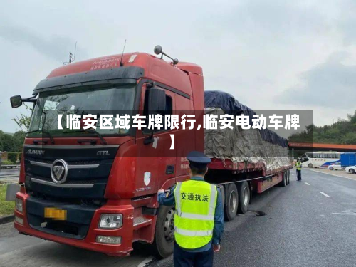 【临安区域车牌限行,临安电动车牌】-第3张图片