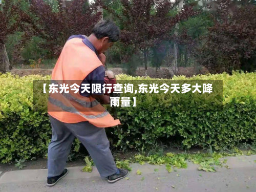 【东光今天限行查询,东光今天多大降雨量】