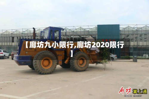 【廊坊九小限行,廊坊2020限行】
