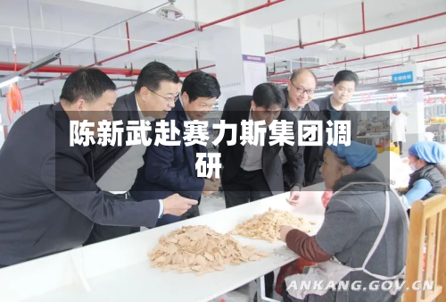 陈新武赴赛力斯集团调研-第2张图片