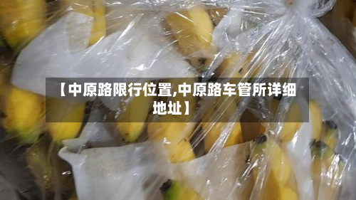 【中原路限行位置,中原路车管所详细地址】-第2张图片