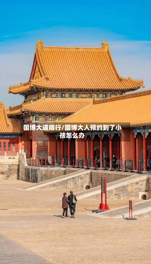 国博大道限行/国博大人预约到了小孩怎么办