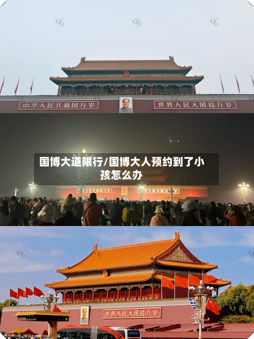 国博大道限行/国博大人预约到了小孩怎么办-第2张图片