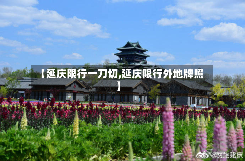 【延庆限行一刀切,延庆限行外地牌照】