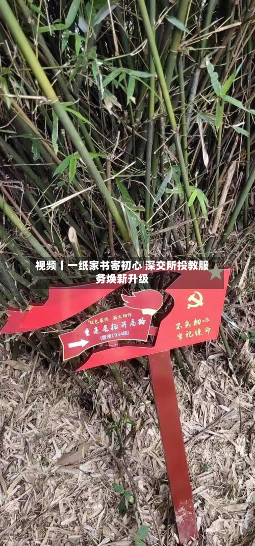 视频丨一纸家书寄初心 深交所投教服务焕新升级-第2张图片