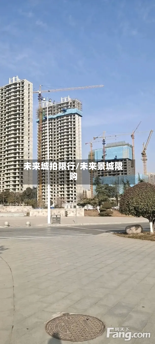 未来城拍限行/未来景城限购-第2张图片