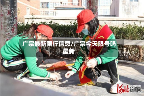 广宗最新限行信息/广宗今天限号吗最新-第2张图片