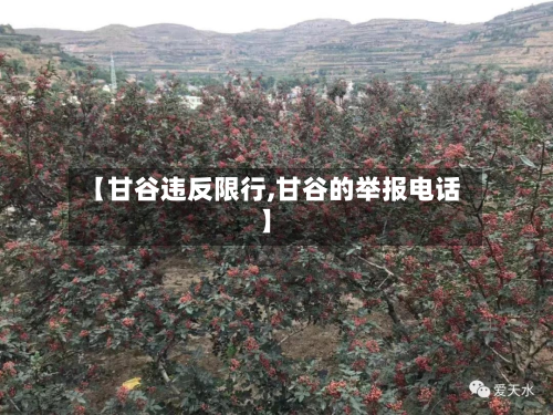 【甘谷违反限行,甘谷的举报电话】