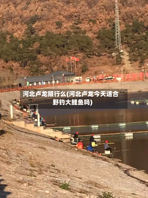 河北卢龙限行么(河北卢龙今天适合野钓大鲤鱼吗)