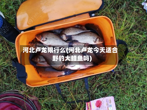 河北卢龙限行么(河北卢龙今天适合野钓大鲤鱼吗)-第3张图片