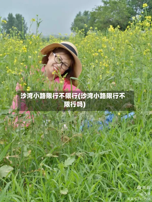 沙湾小路限行不限行(沙湾小路限行不限行吗)