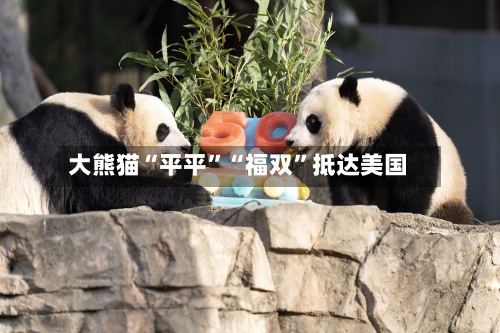 大熊猫“平平”“福双”抵达美国-第2张图片