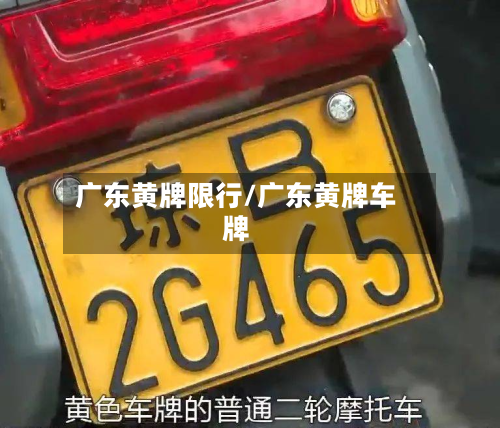 广东黄牌限行/广东黄牌车牌