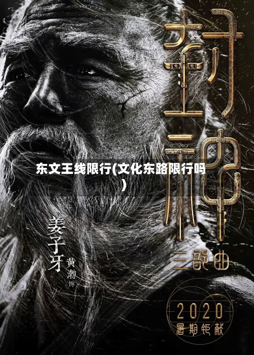 东文王线限行(文化东路限行吗)-第3张图片