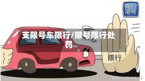 支限号车限行/限号限行处罚