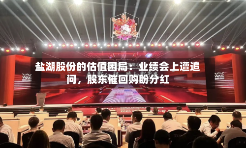盐湖股份的估值困局:业绩会上遭追问,股东催回购盼分红
