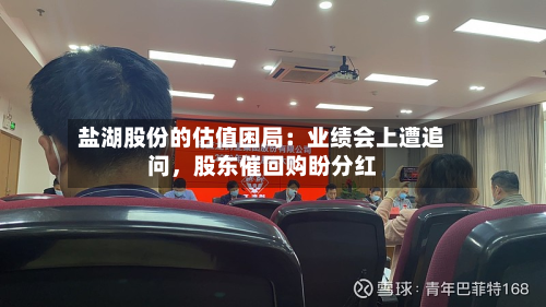 盐湖股份的估值困局：业绩会上遭追问，股东催回购盼分红-第3张图片
