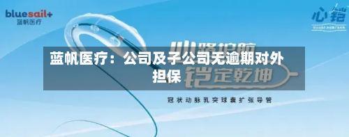 蓝帆医疗：公司及子公司无逾期对外担保-第1张图片
