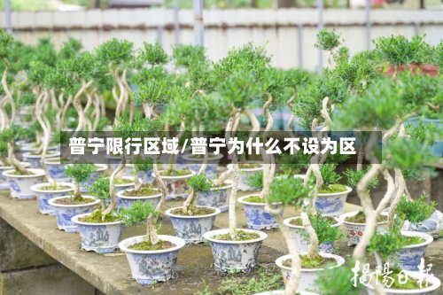 普宁限行区域/普宁为什么不设为区